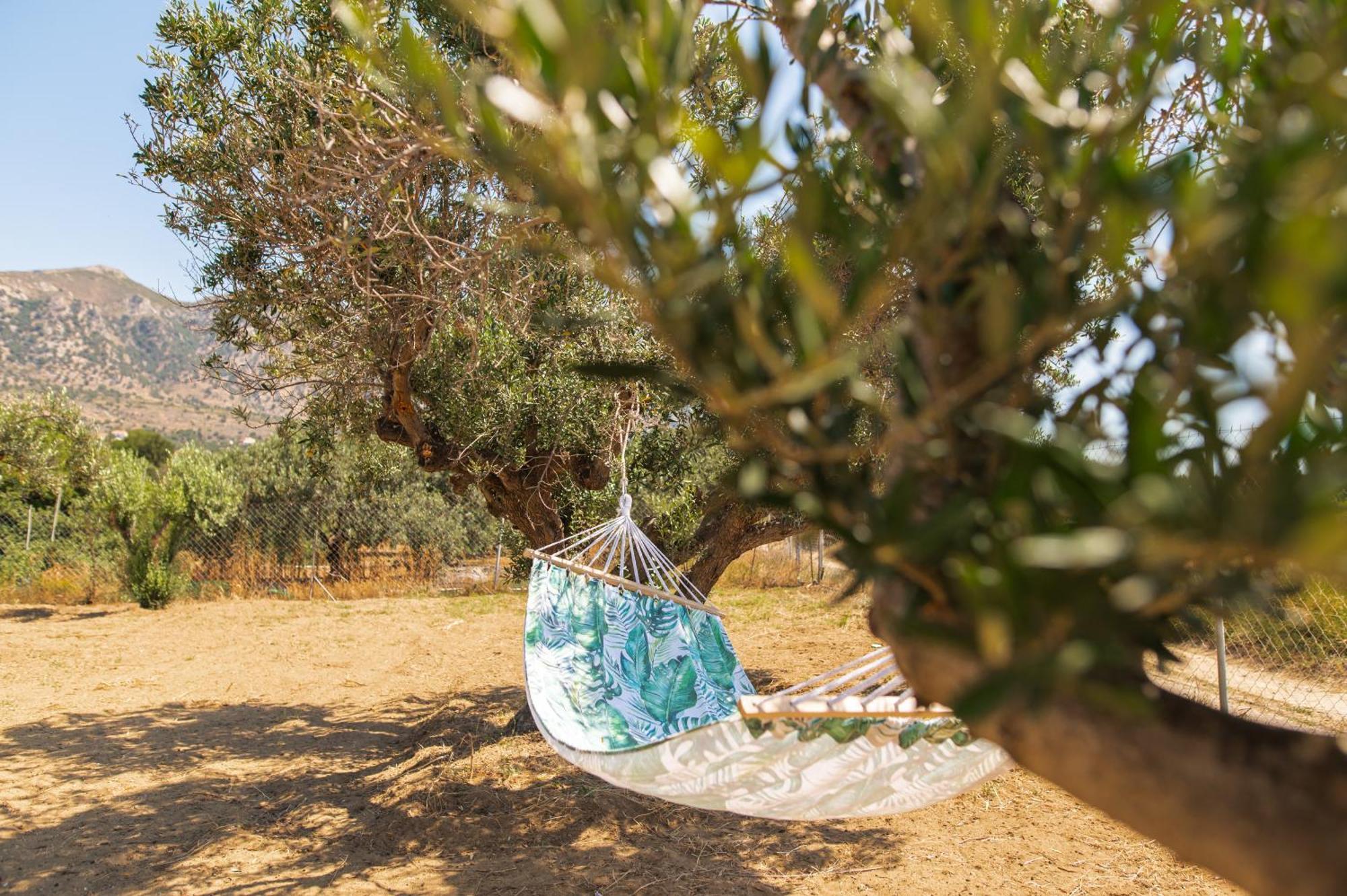 Livas Relaxing In Kardamena Kardamena (Kos)